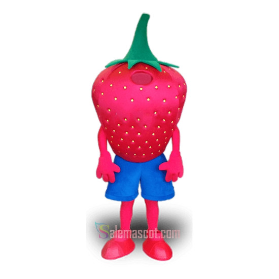Strawberry Character Mascot Costume