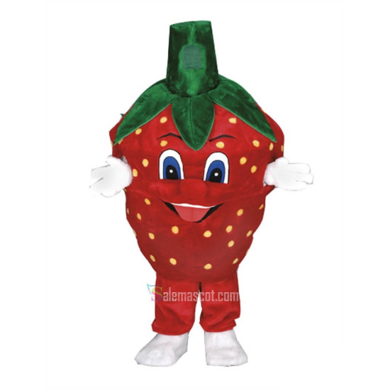 Strawberry Mascot Costume