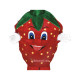 Strawberry Mascot Costume