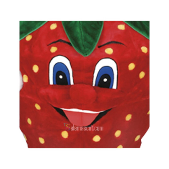 Strawberry Mascot Costume