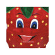 Strawberry Mascot Costume