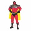 Super Hero Mascot Costume