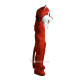 Tiger Mascot Costume