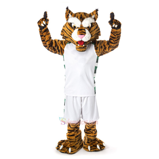 Wildcat Power Mascot Costume