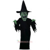 Witch Mascot Costume