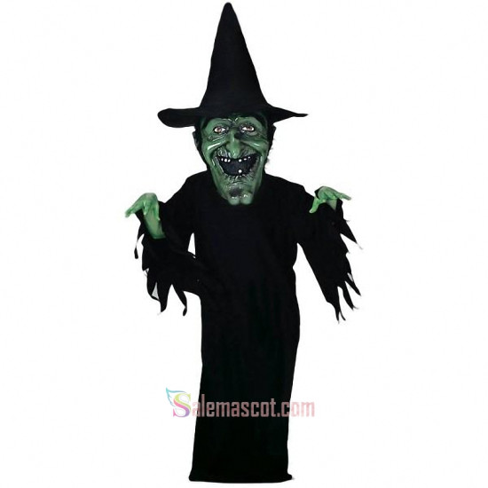 Witch Mascot Costume