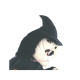 Witch Mascot Costume Good Ventilation