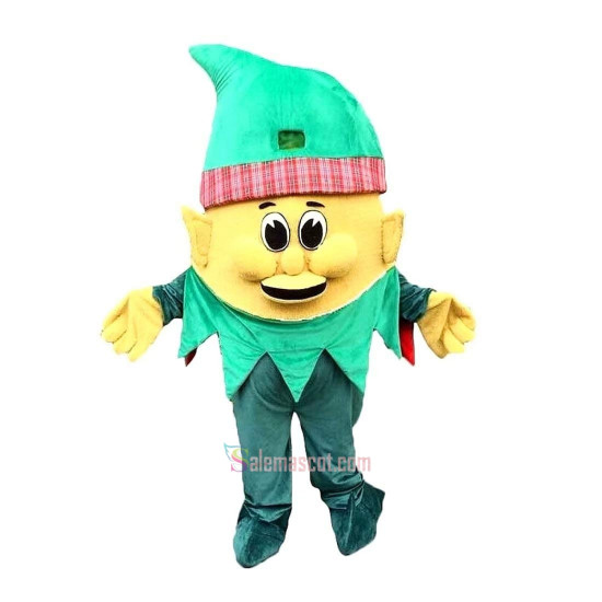Wizard Cartoon Mascot Costume
