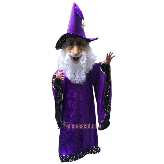 Wizard Mascot Costume
