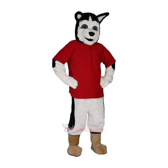 Wolf Dog Cartoon Mascot Costume