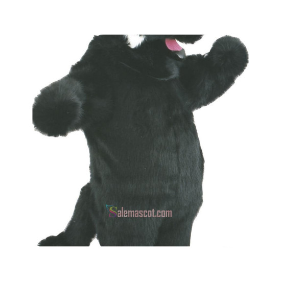 Cute Wolf Mascot Costume