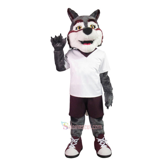 Friendly Handsome Wolf Mascot Costume