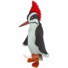Woodpecker Mascot Costume