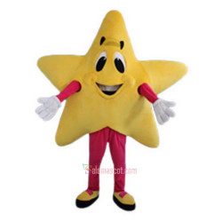 Yellow Five-Pointed Star Cartoon Mascot Costume